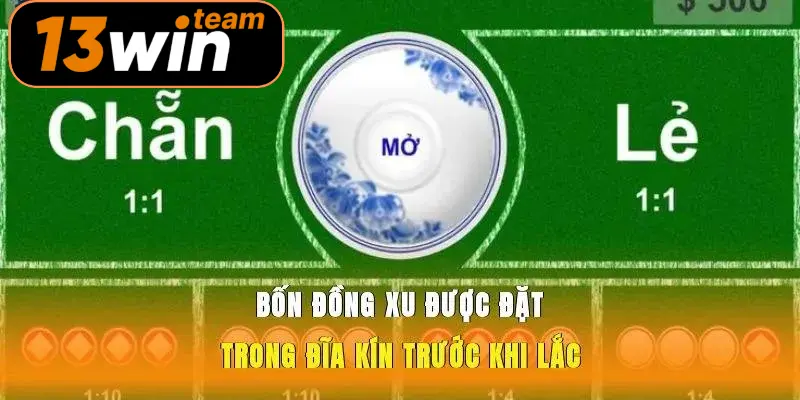 Bốn đồng xu được đặt trong đĩa kín trước khi lắc