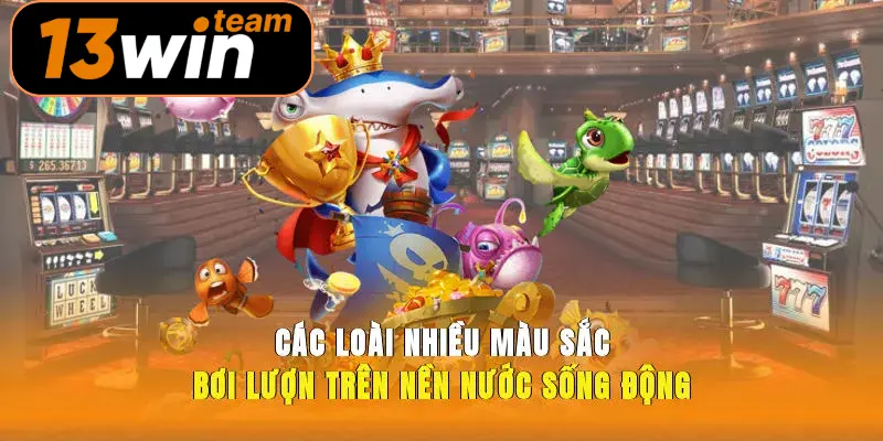 Các loài nhiều màu sắc bơi lượn trên nền nước sống động