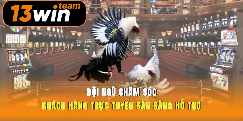 Đội ngũ chăm sóc khách hàng trực tuyến sẵn sàng hỗ trợ 24/7