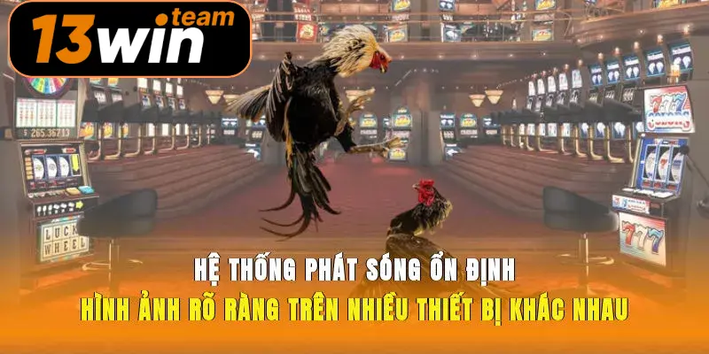 Hệ thống phát sóng ổn định, hình ảnh rõ ràng trên nhiều thiết bị khác nhau