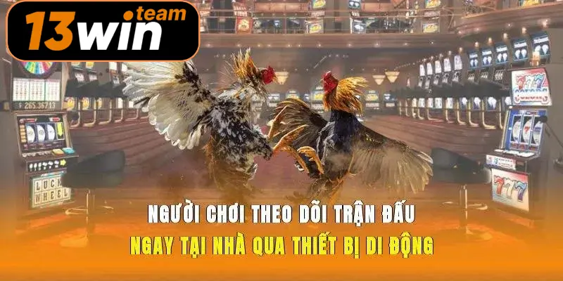 Người chơi theo dõi trận đấu ngay tại nhà qua thiết bị di động